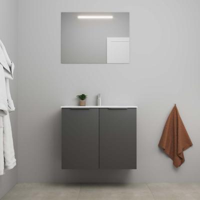On-Line Badkamermeubelset - 80 cm - Voorgemonteerd - 2 Deuren met Greep - Porseleinen Wastafel - 1 Kraangat - Spiegel met LED-Verlichting - Mat Antraciet