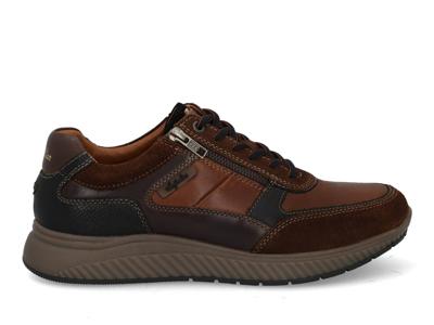 Australian Maurizio cognac brown bla Cognac maat 43