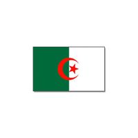 Gevelvlag/vlaggenmast vlag Algerije 90 x 150 cm   -