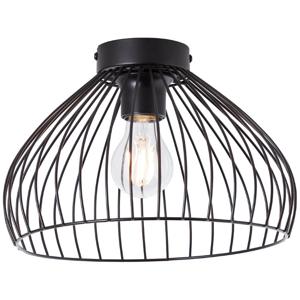 Brilliant Plafondlamp Blacky 99604/06