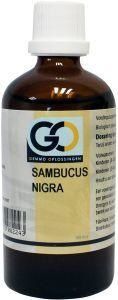 Sambucus nigra bio