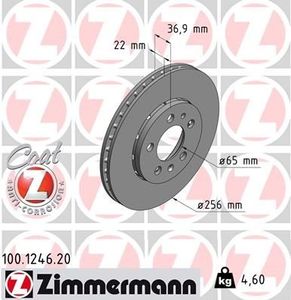 Remschijf Coat Z 100124620