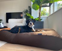 Dog's Companion® Hondenkussen chocolade bruin