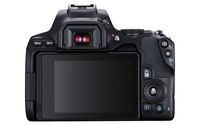 Canon EOS 250 D Digitale spiegelreflexcamera Incl. EF-S 18-55 mm IS lens 25.80 Mpix Zwart 4K video, Bluetooth, Draai- en zwenkbare display, WiFi - thumbnail