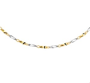 TFT Collier Bicolor Goud 2,5 mm x 45 cm