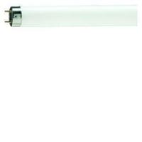 Philips TL Buis 8W/10 UV-A Philips insekt 5900540 Philips TL Buis 8W/10 UV-A Philips insekt 5900540