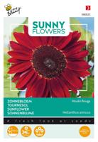 Sunny Flowers, Zonnebloem Moulin Rouge - Buzzy