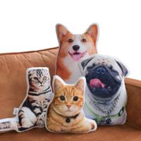 Kussen met opdruk van jouw hond, kat, konijn, cavia, paard enz. - Pillow Buddies