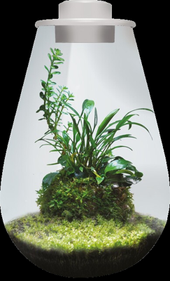 BioArt Drop 285 wit BioArt Drop 285 wit