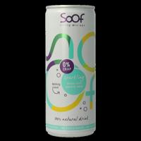 Sparkling citroen munt & appel 250 Milliliter