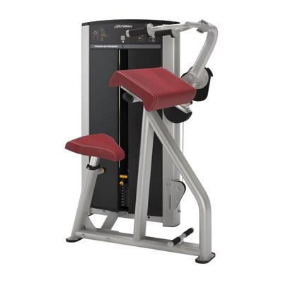 Life Fitness Axiom series tricep extension Life Fitness Axiom series tricep extension