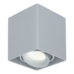 Dimbare LED Opbouwspot/plafondspot plafond Esto Grijs incl. GU10 spot 5W 4000K IP20 kantelbaar