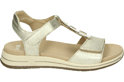 Ara 1234804 - alle