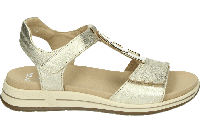 Ara 1234804 - alle