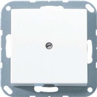 A 590 A CH  - Basic element with central cover plate A 590 A CH - thumbnail