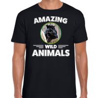 T-shirt zwarte panters amazing wild animals / dieren zwart voor heren - thumbnail