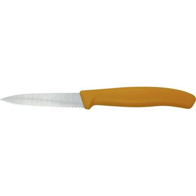 Victorinox 6.7636.L119 Groentemes SwissClassic Oranje
