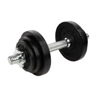 RS Sports Dumbellset l Halterset met gewichten l Totaal 10 kg l 1 stang