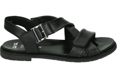 Ara 1253606 ELBA-S - alle Ara 1253606 ELBA-S - alle