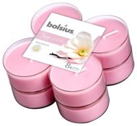 Bolsius True Scents maxilicht magnolia