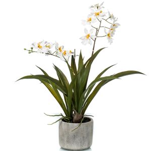 Witte orchidee kunstplant in keramische pot 45 cm   -