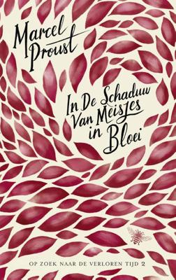 In de schaduw van meisjes in bloei (Paperback)