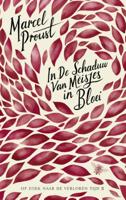 In de schaduw van meisjes in bloei (Paperback)