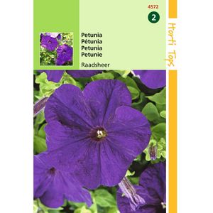 2 stuks Petunia Hybr.Nana Comp. Raadsheer