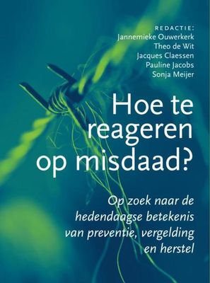 Hoe te reageren op misdaad? - - ebook