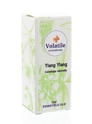 Volatile Ylang ylang
