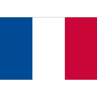 Vlag Frankrijk - 90 x 150 cm - Franse Vlag - France