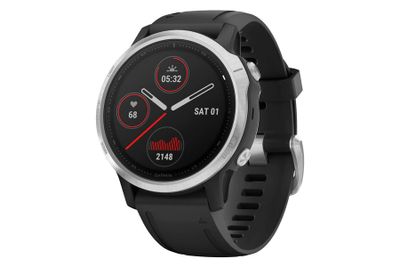 Garmin Fenix 6S Zwart/Zilver Smartwatch