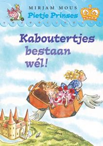Kaboutertjes bestaan wel! (Hardback)