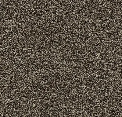 Coral Bright 2604 Virgin Sand 90 cm breed