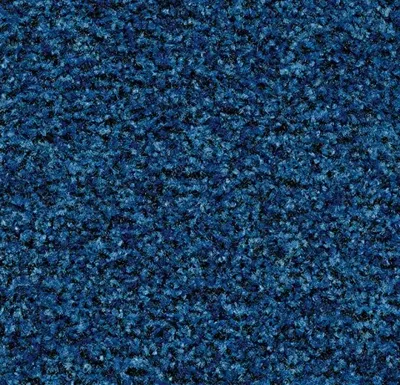 Coral Brush 5722 Cornflower Blue 205 cm breed