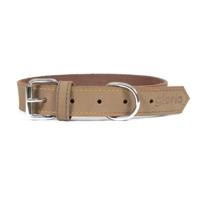 Hondenhalsband Gloria Oasis Wit (1,5 x 40 cm)
