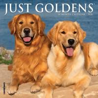 Golden Retriever Kalender 2026 Mini