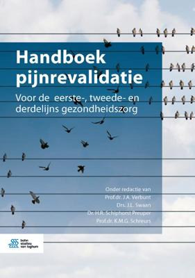 Handboek pijnrevalidatie (Paperback)