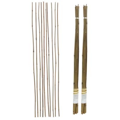 Gerimport Plantenstokken - 20x stuks - 90 cm - plantensteun / tonkinstokken