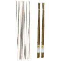 Gerimport Plantenstokken - 20x stuks - 90 cm - plantensteun / tonkinstokken