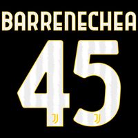 Barrenechea 45 (Officiële Juventus Bedrukking 2023-2024) - thumbnail
