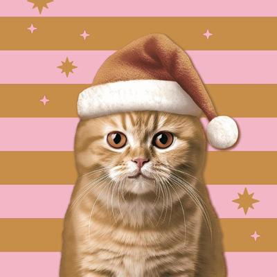 Duni servetten xmas cat 33x33cm