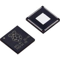 Raspberry Pi® Microcontroller RP2040 1 stuk(s)