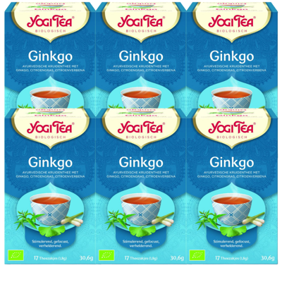 Yogi Tea Ginkgo Voordeelverpakking