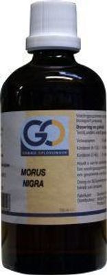 GO Morus nigra (100 ml)