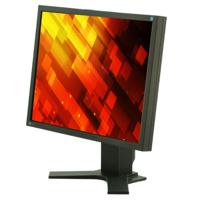 EIZO FlexScan S2133 - 21 inch - 1600x1200 - DP - DVI - VGA - Wit