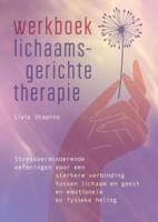 Werkboek lichaamsgerichte therapie (Paperback)