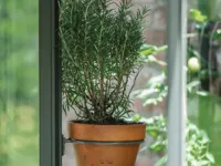 Royal Well | Pothouder Set van 4 | Groengrijs