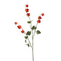 Physalis spray x2 orange 95 cm kunstbloem zijde nepbloem - Emerald