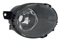 Mistlamp rechts 196069019